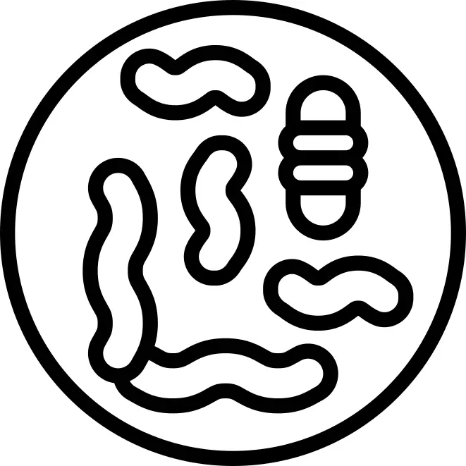 微生物
