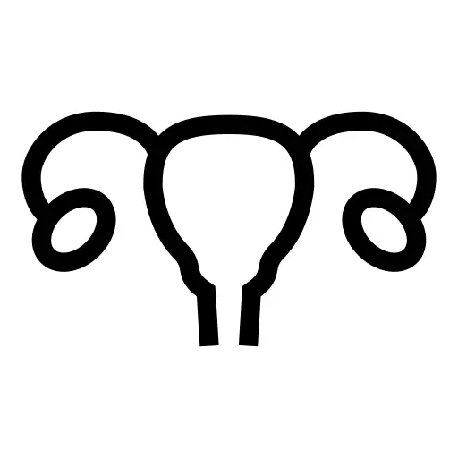 Uterus
