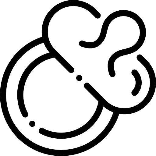 Pacifier