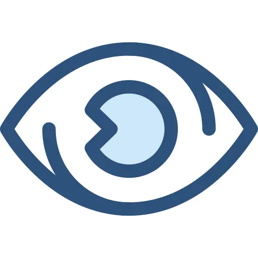 Eye