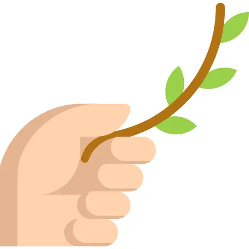 Branch