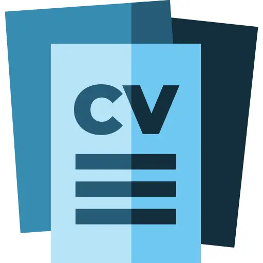 Curriculum vitae