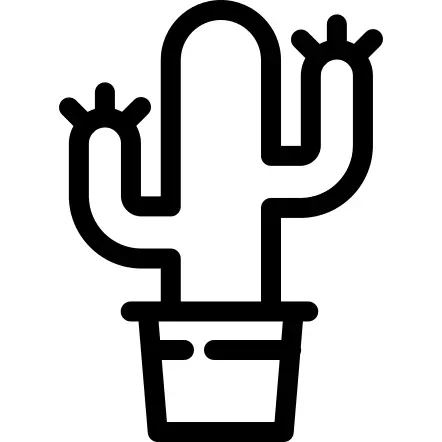 Cactus in a Pot