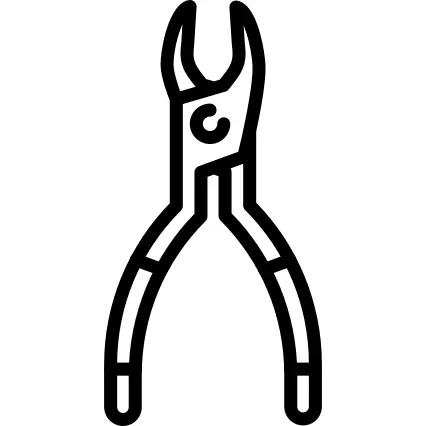 Extraction Forceps