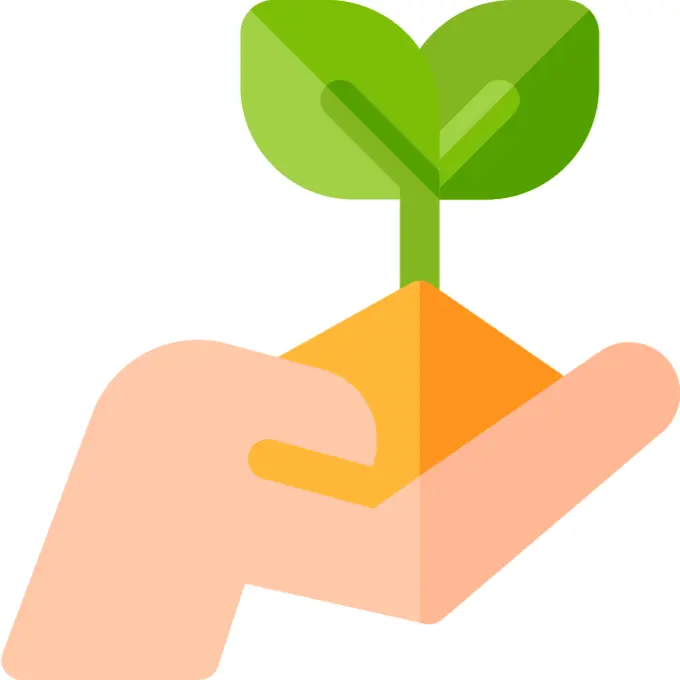 Plant tree