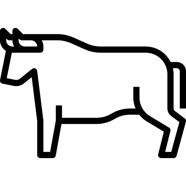 Beef