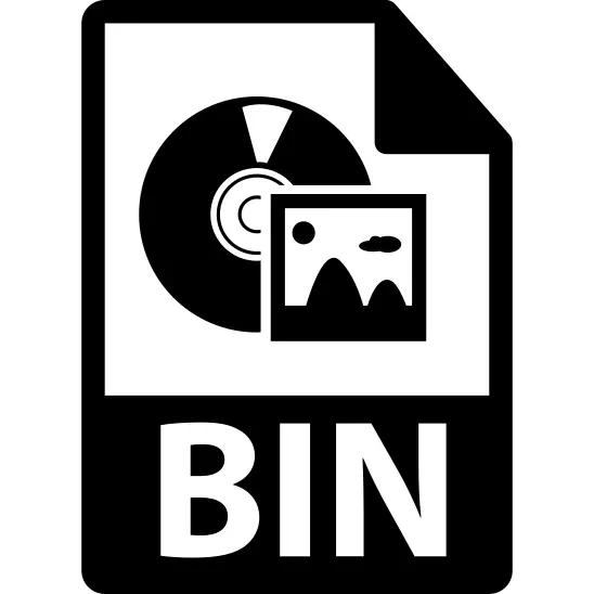 BIN file format