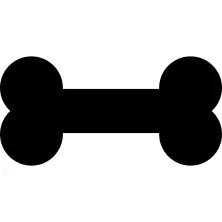 Bone