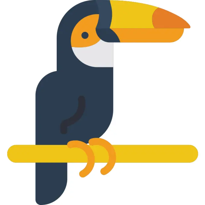 Toucan