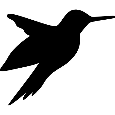 Hummingbird