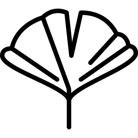 Apricot leaf