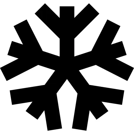 Snowflake