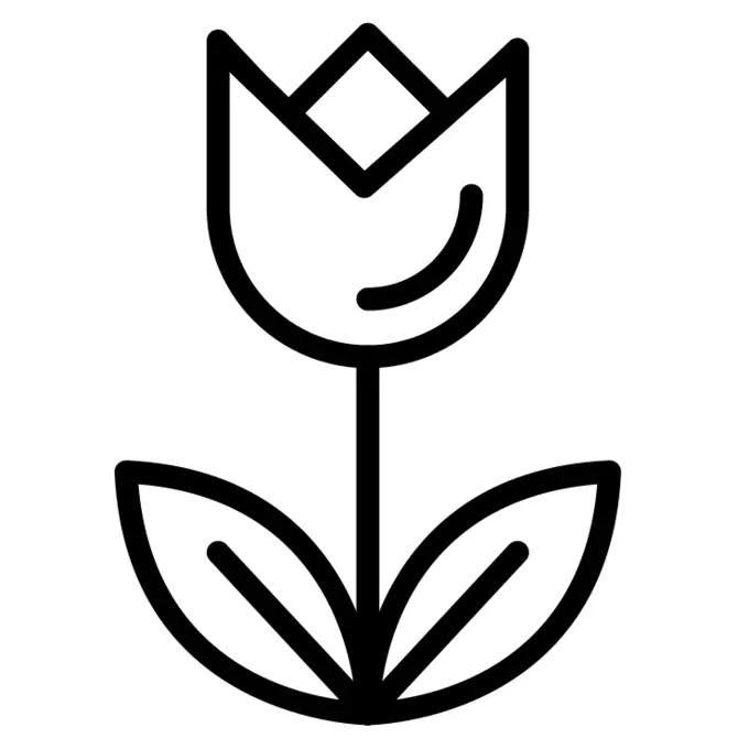 Tulip
