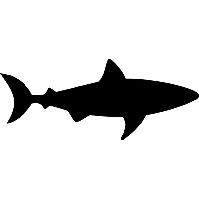 Shark Facing Right
