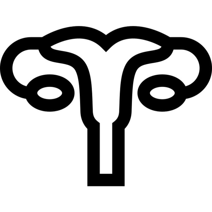 子宫