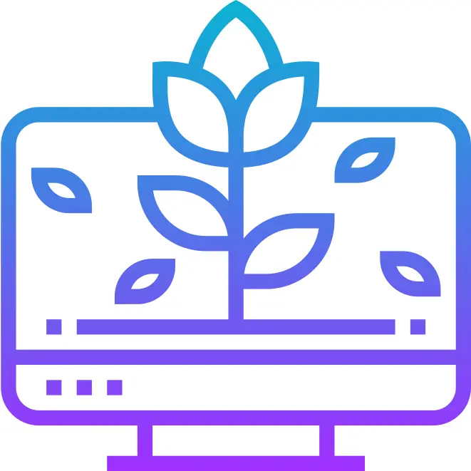 墙纸