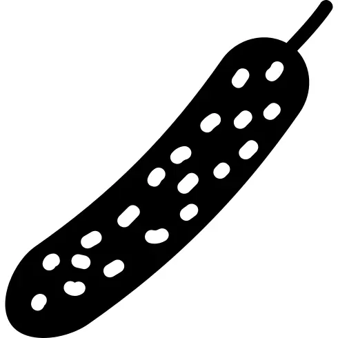 黄瓜