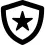 Shield with star