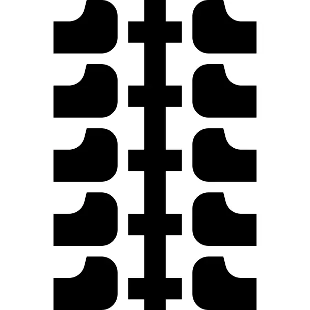 Spine