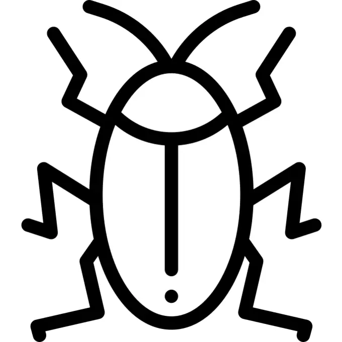 蟑螂