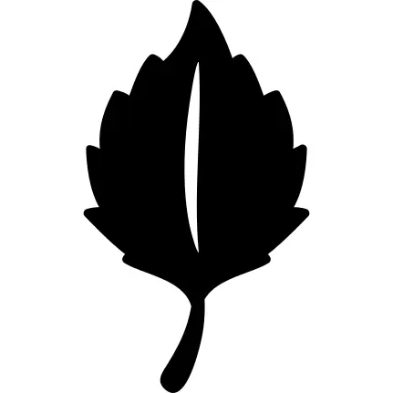 Leaf