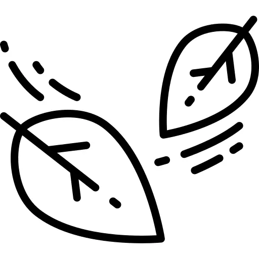 树叶