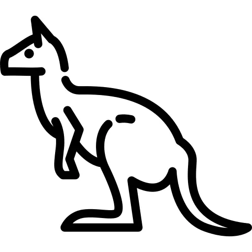 Kangaroo