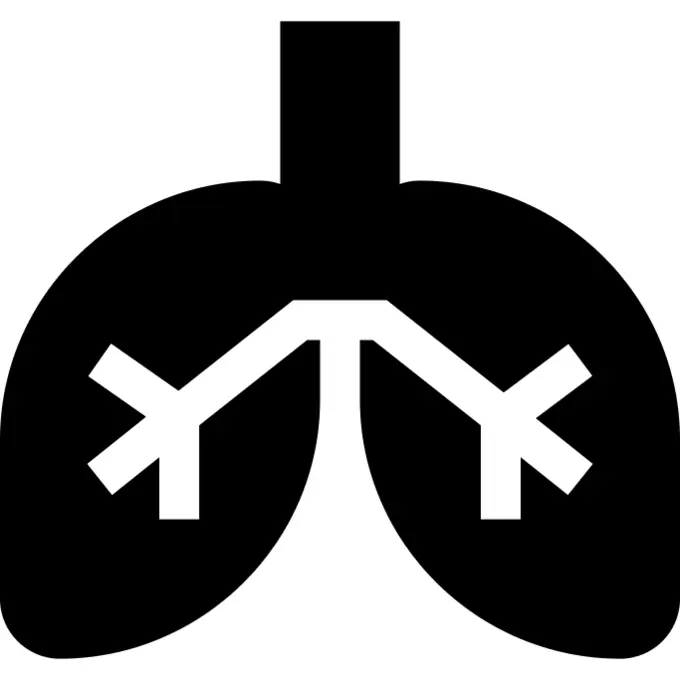 Lungs