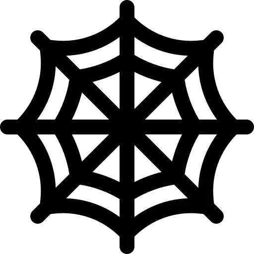Spider web