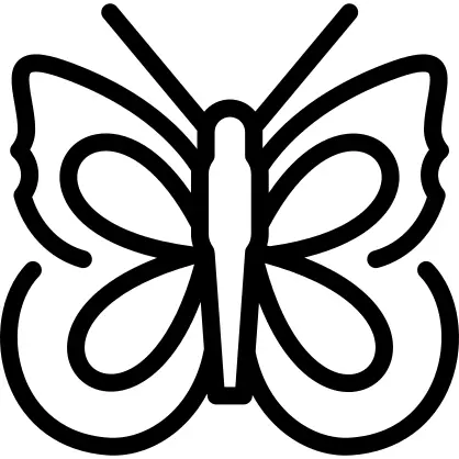 Marbled white butterfly