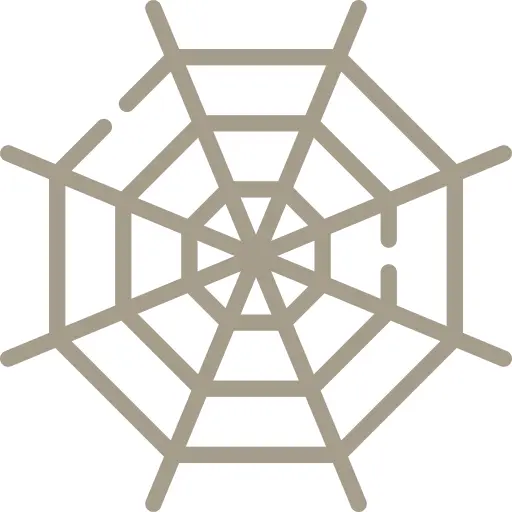Spider web