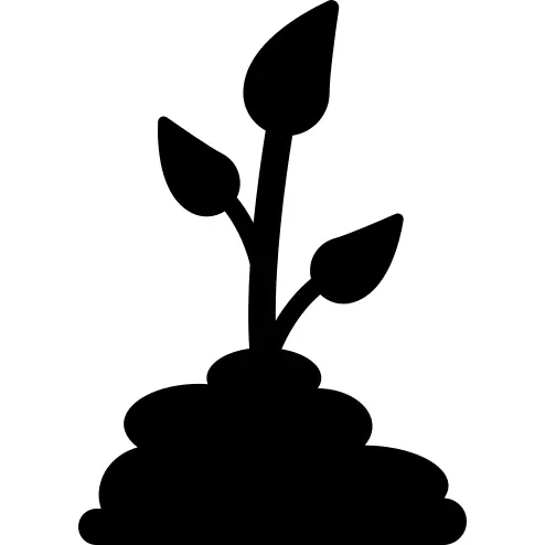 种植植物