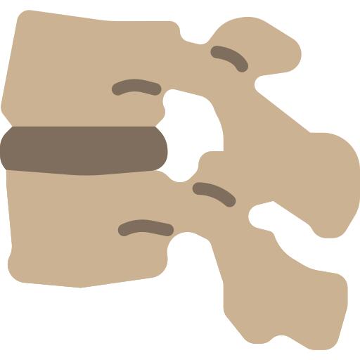 Vertebra