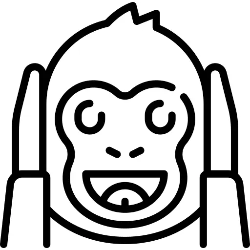 Monkey