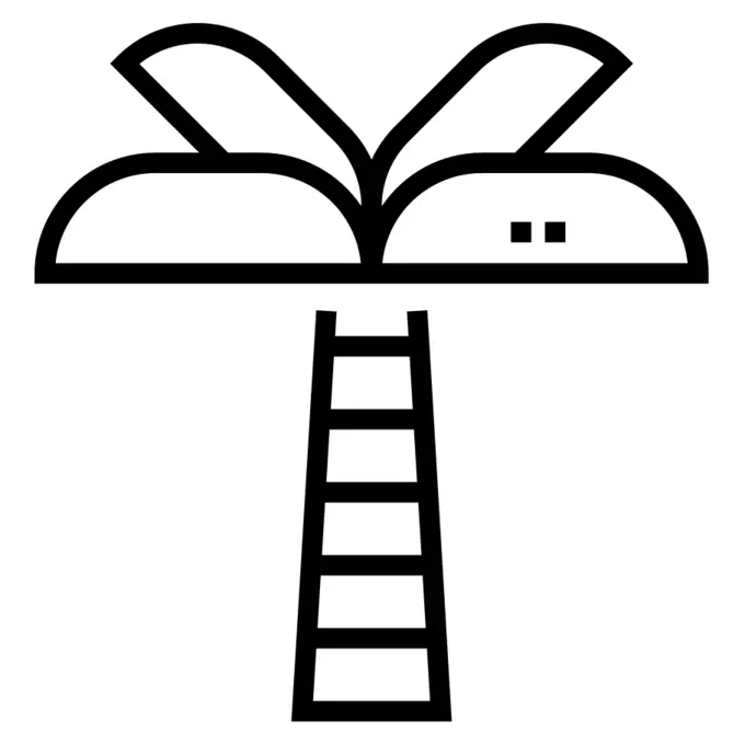 棕榈树