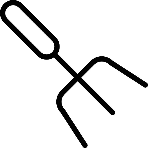 Fork