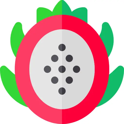 火龙果
