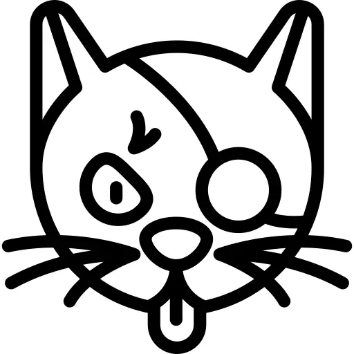 Black cat