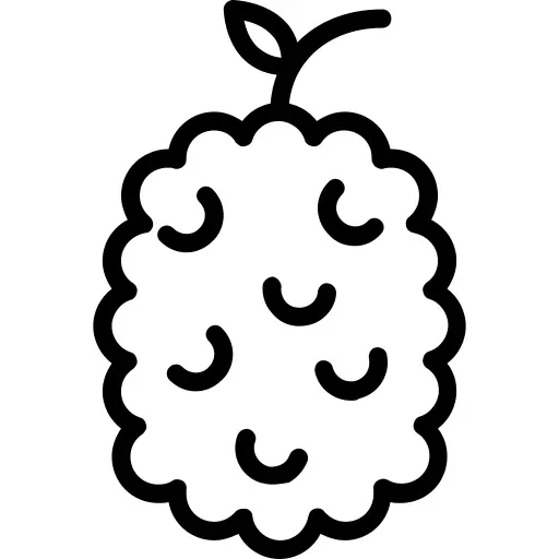 覆盆子