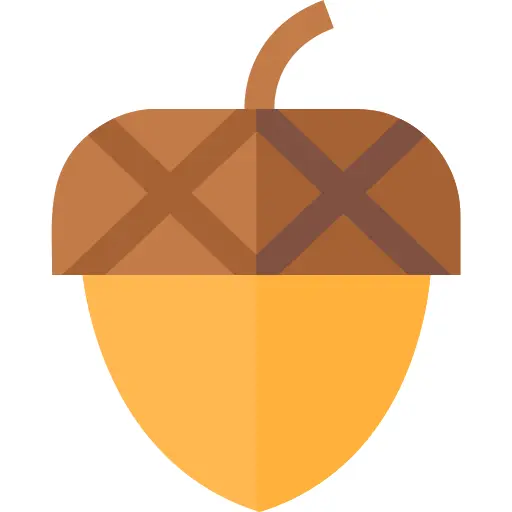 Acorn