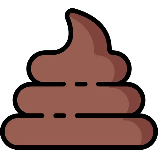 Poo