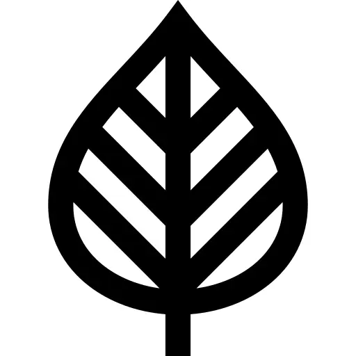 Leaf