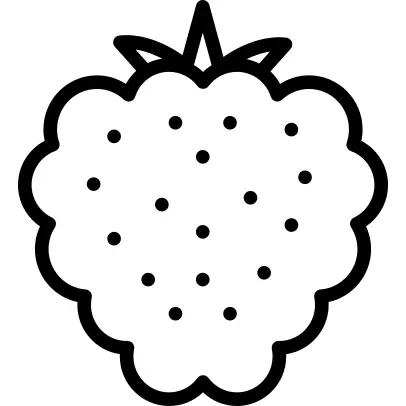 覆盆子
