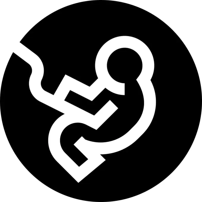 胎