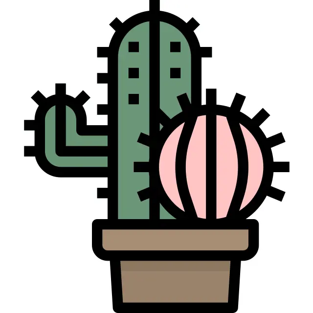Cactus