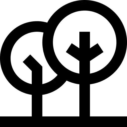 森林
