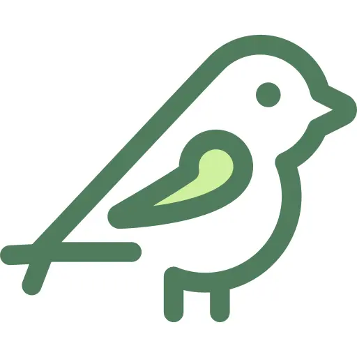 鸟