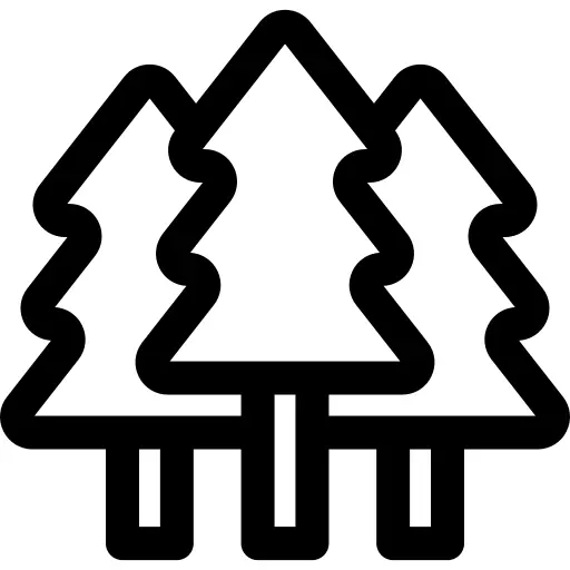 松树
