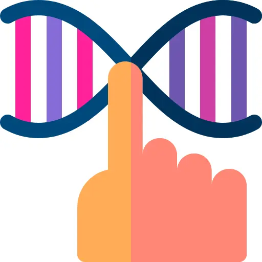 Dna