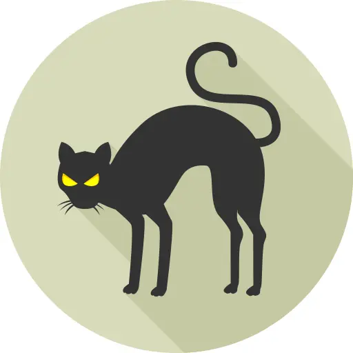 黑猫